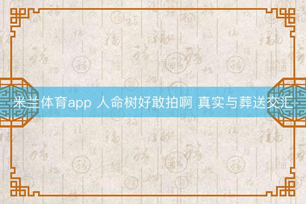 米兰体育app 人命树好敢拍啊 真实与葬送交汇
