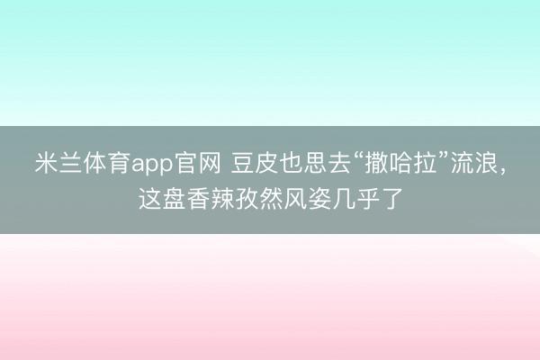 米兰体育app官网 豆皮也思去“撒哈拉”流浪，这盘香辣孜然风姿几乎了